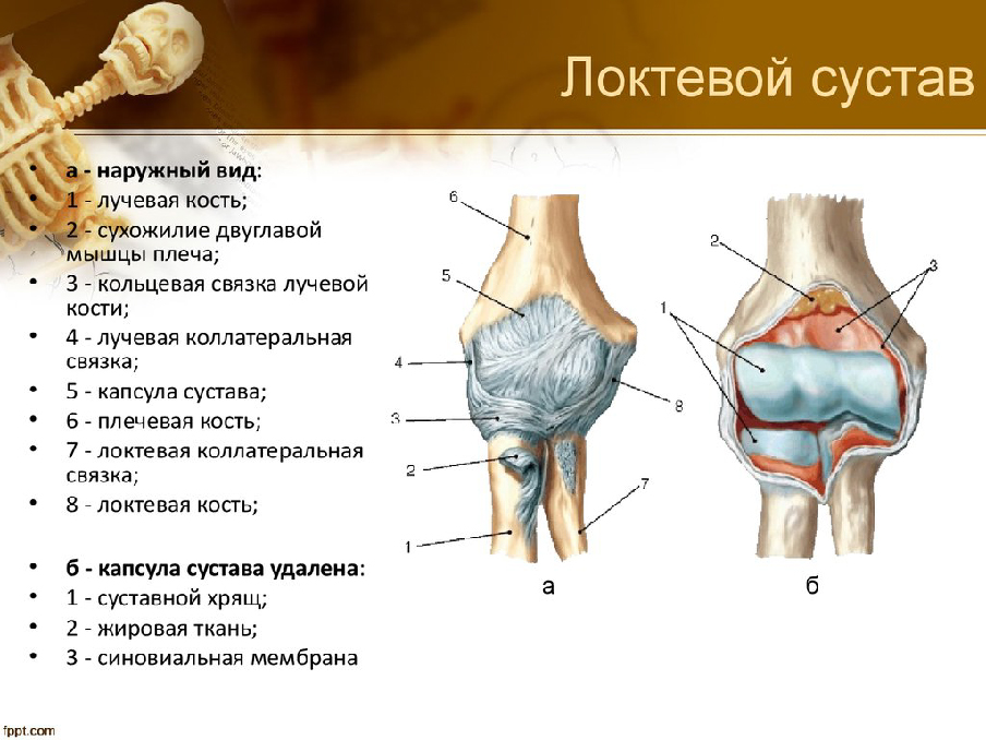 Гигрома локтевого сустава фото